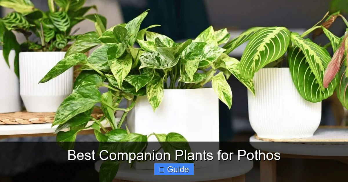 Best Companion Plants for Pothos