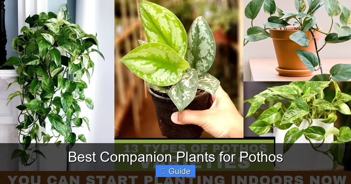Best Companion Plants for Pothos