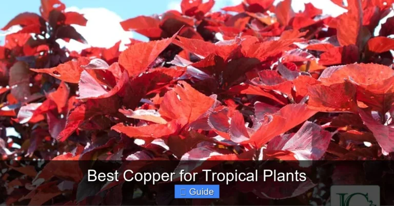Best Copper for Tropical Plants