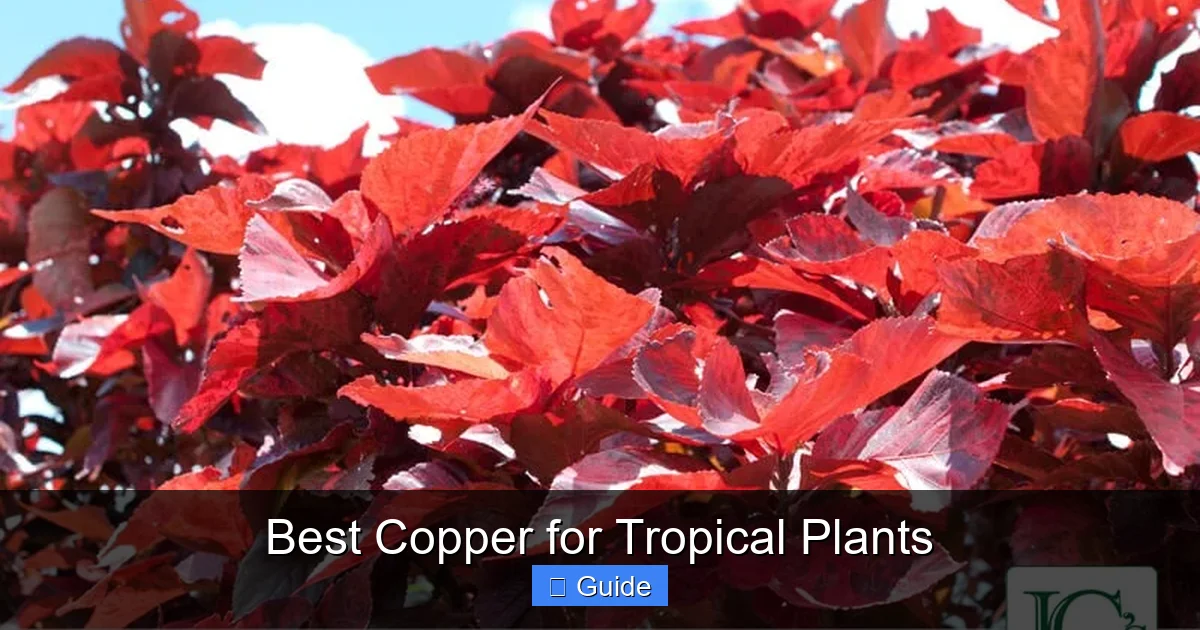 Best Copper for Tropical Plants