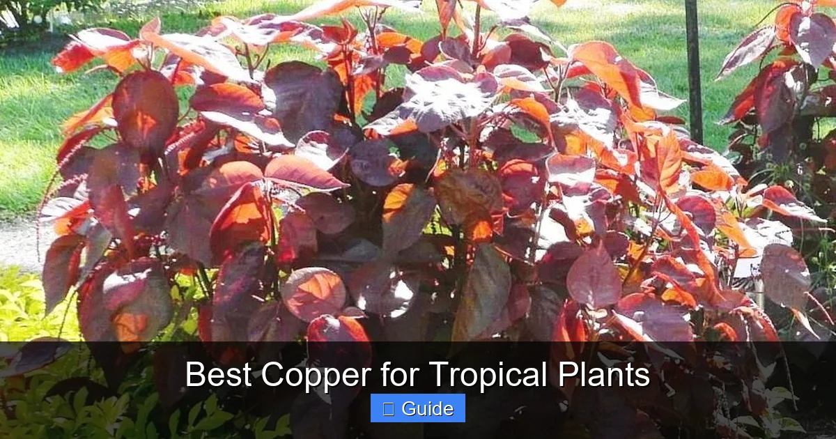 Best Copper for Tropical Plants