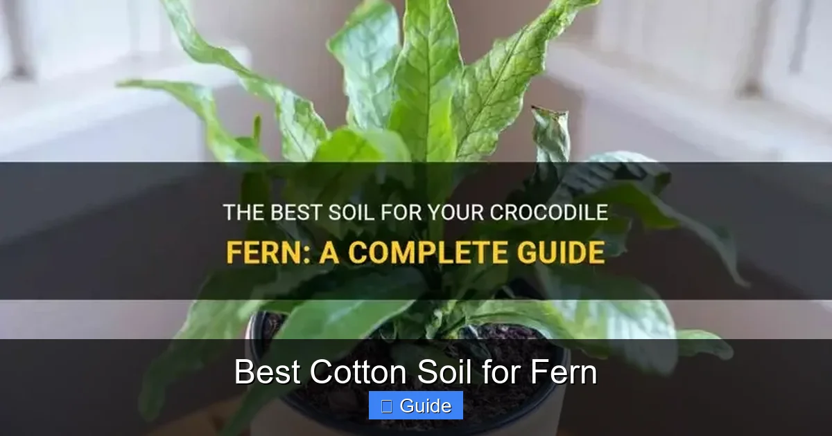 Best Cotton Soil for Fern