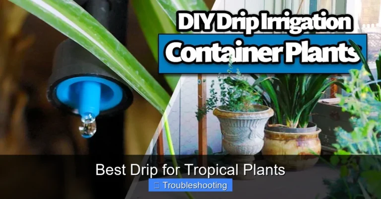 Best Drip for Tropical Plants