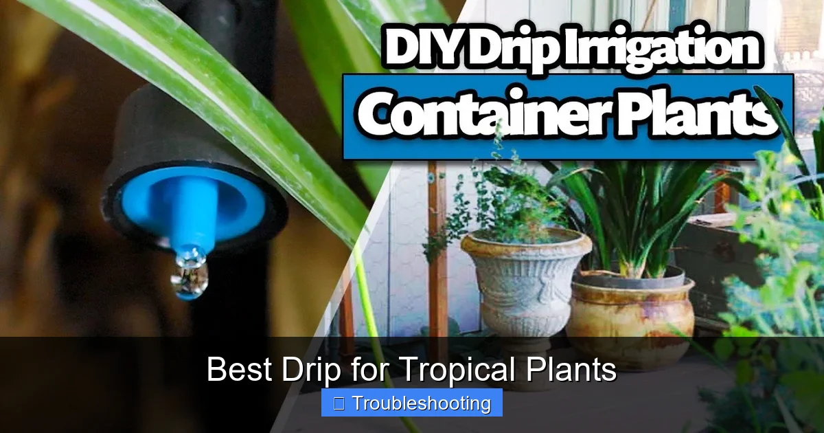 Best Drip for Tropical Plants