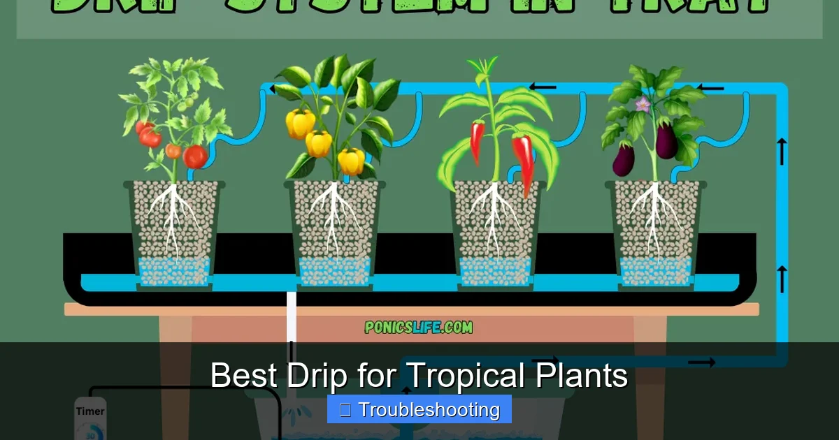 Best Drip for Tropical Plants