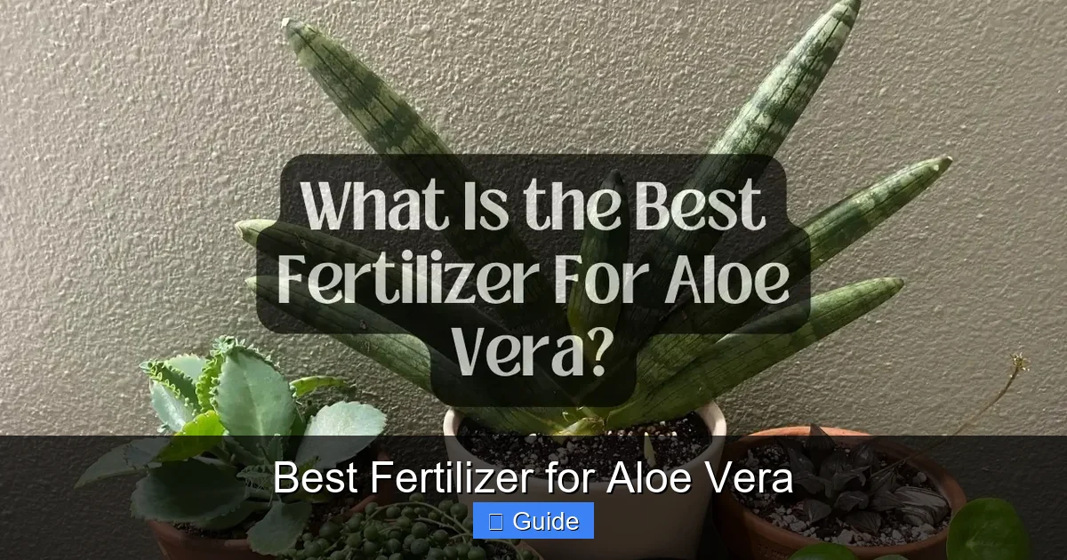 Best Fertilizer for Aloe Vera
