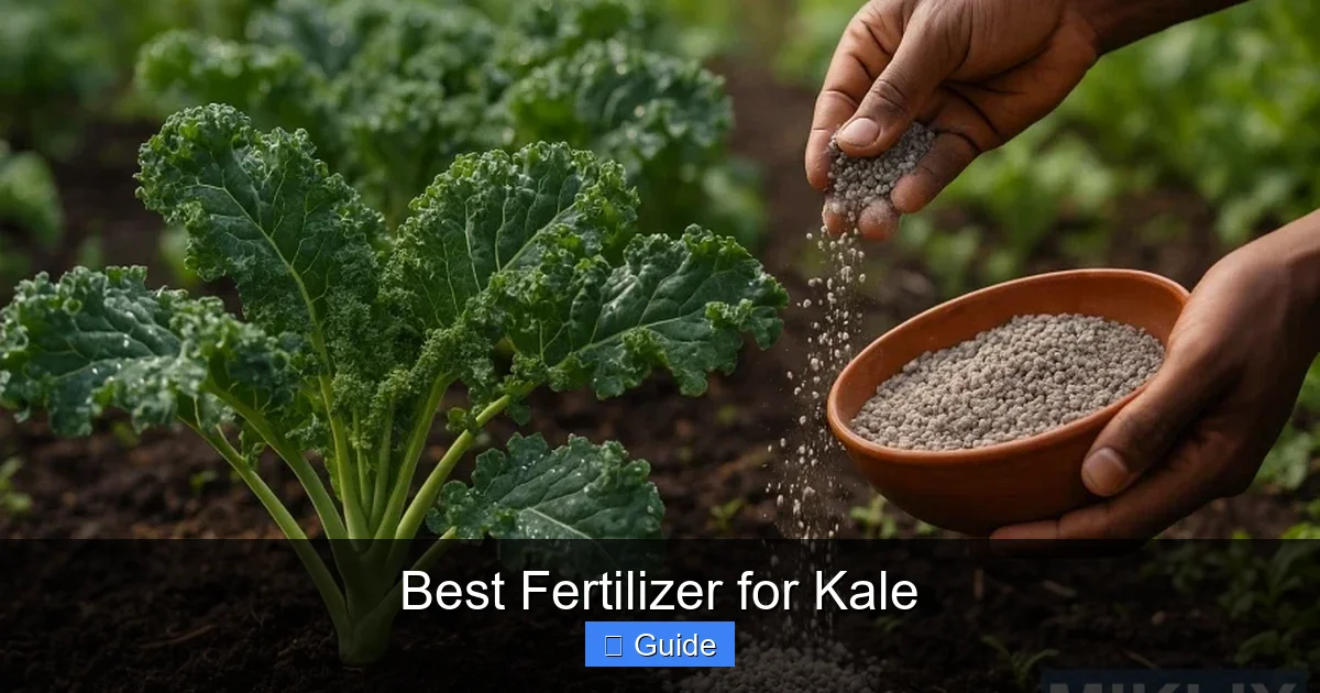 Best Fertilizer for Kale