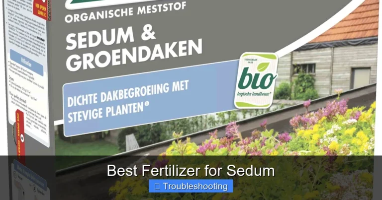 Best Fertilizer for Sedum