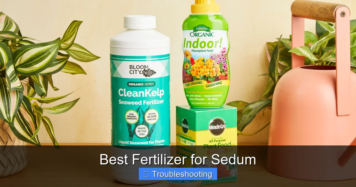 Best Fertilizer for Sedum
