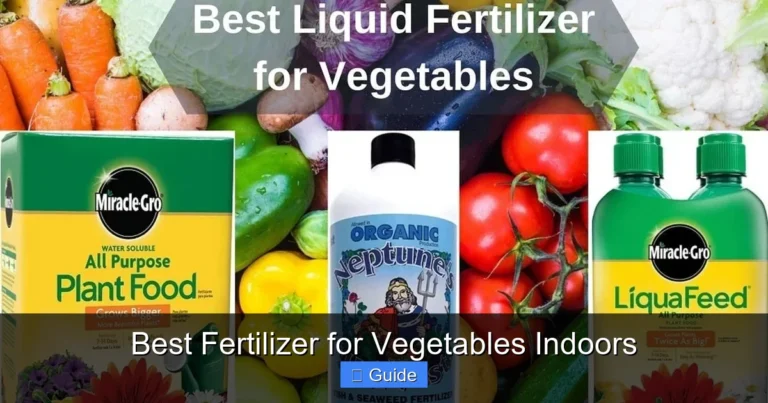 Best Fertilizer for Vegetables Indoors