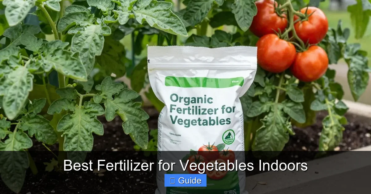 Best Fertilizer for Vegetables Indoors