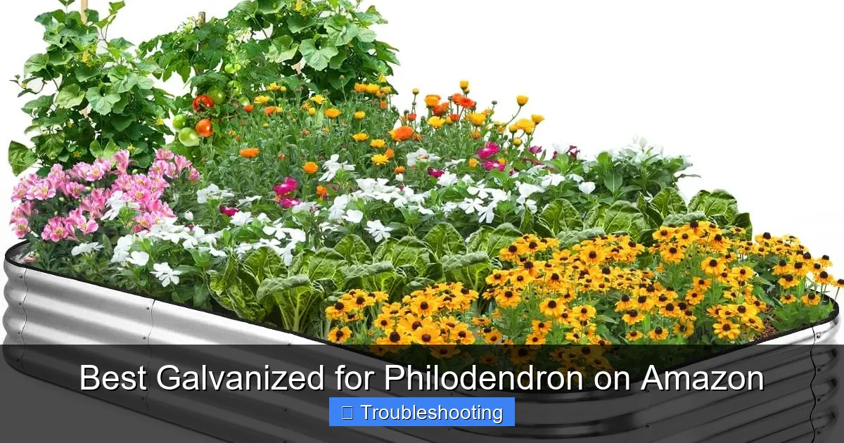 Best Galvanized for Philodendron on Amazon