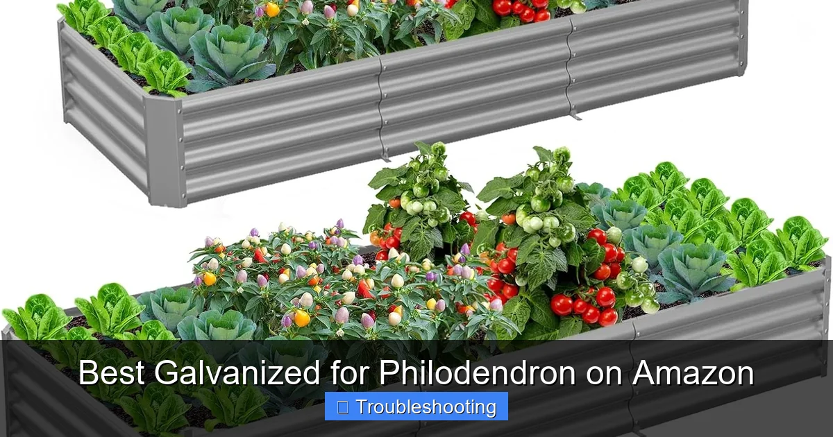 Best Galvanized for Philodendron on Amazon