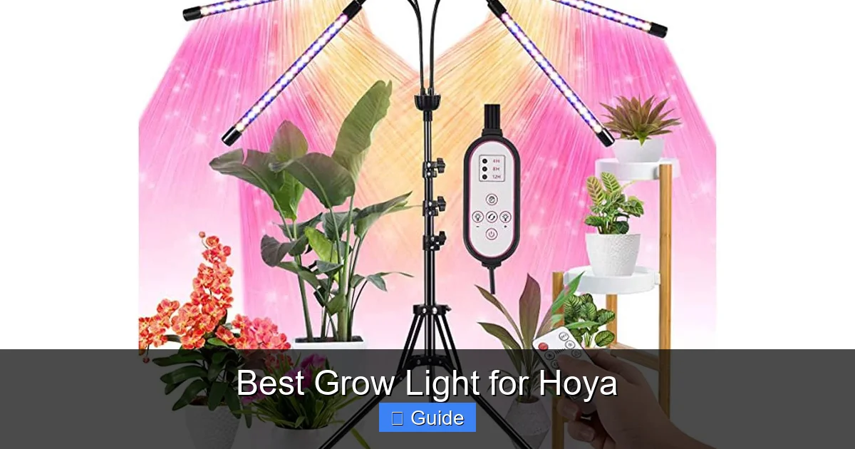 Best Grow Light for Hoya