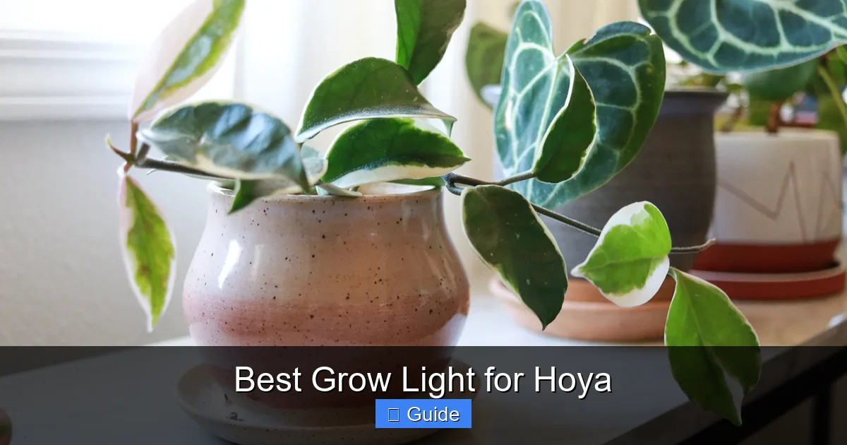 Best Grow Light for Hoya