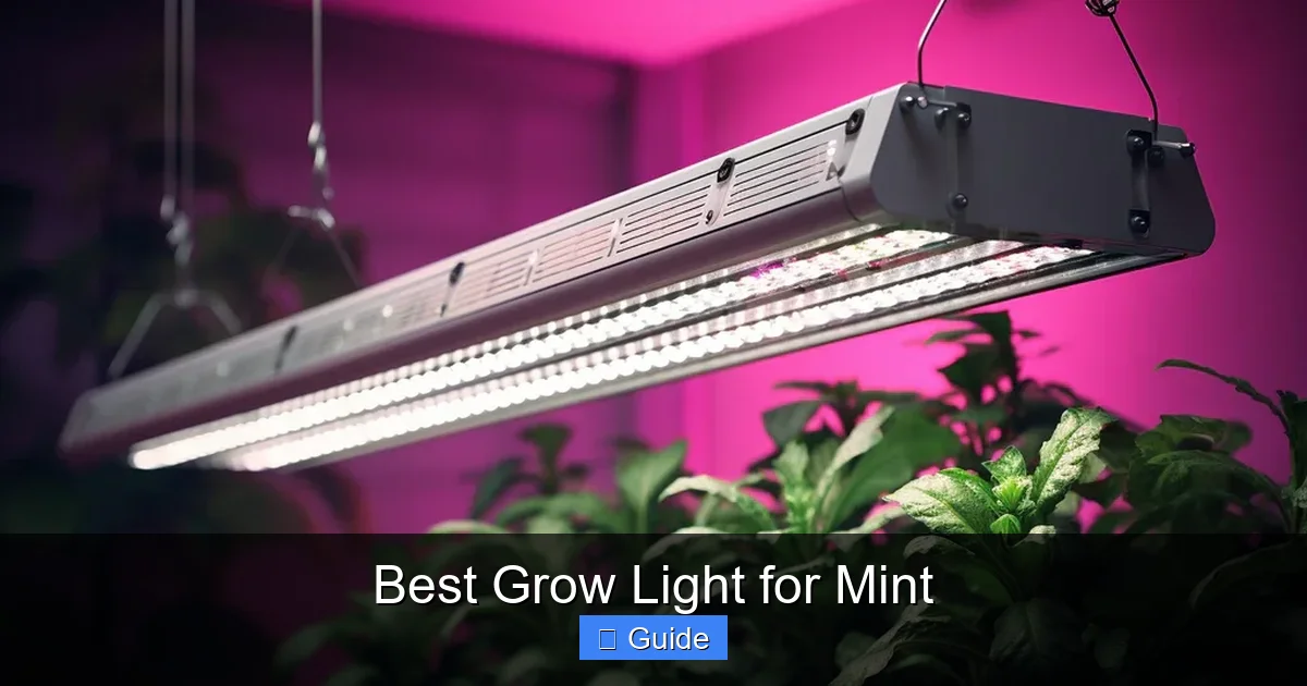 Best Grow Light for Mint