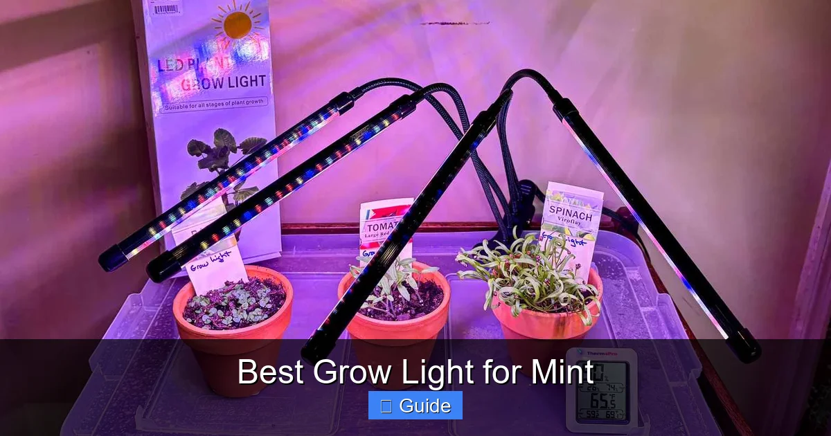 Best Grow Light for Mint