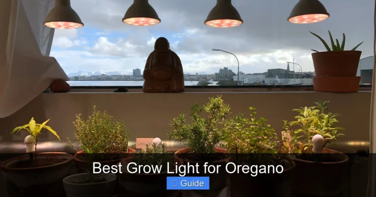 Best Grow Light for Oregano