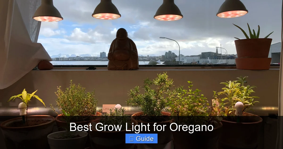 Best Grow Light for Oregano