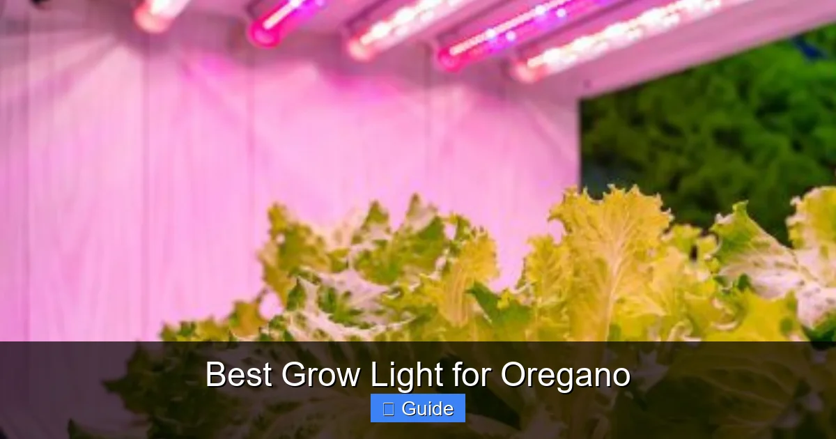 Best Grow Light for Oregano