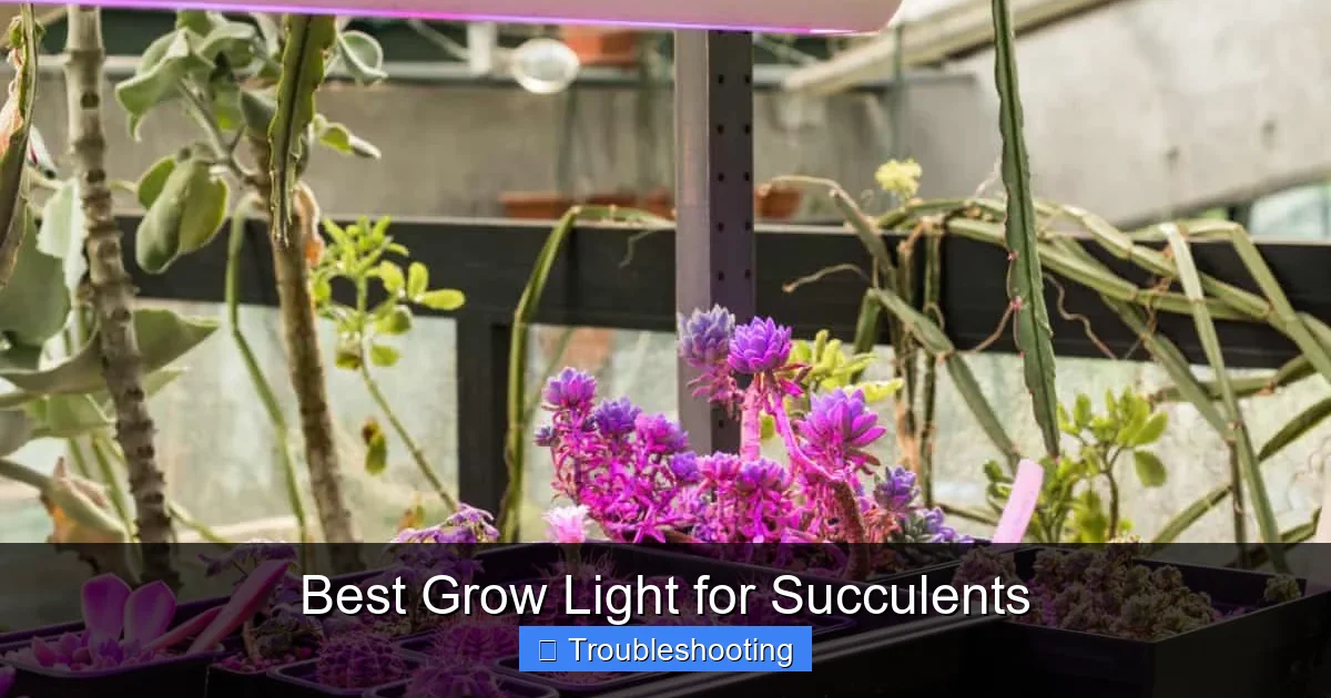 Best Grow Light for Succulents