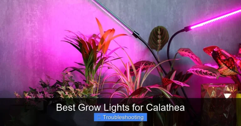 Best Grow Lights for Calathea
