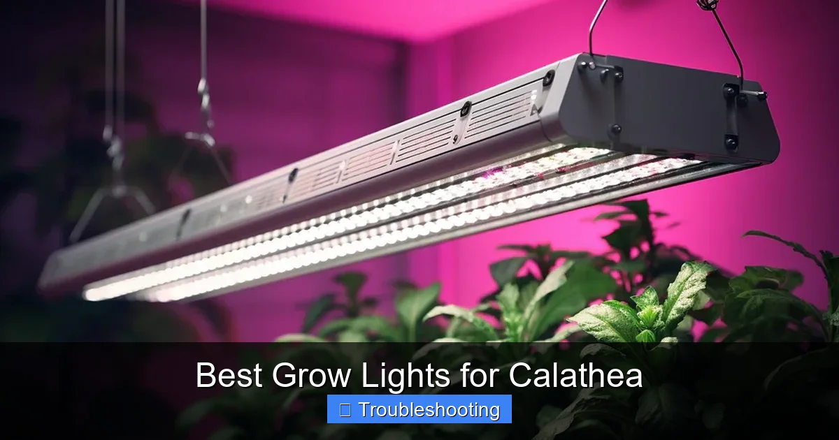 Best Grow Lights for Calathea