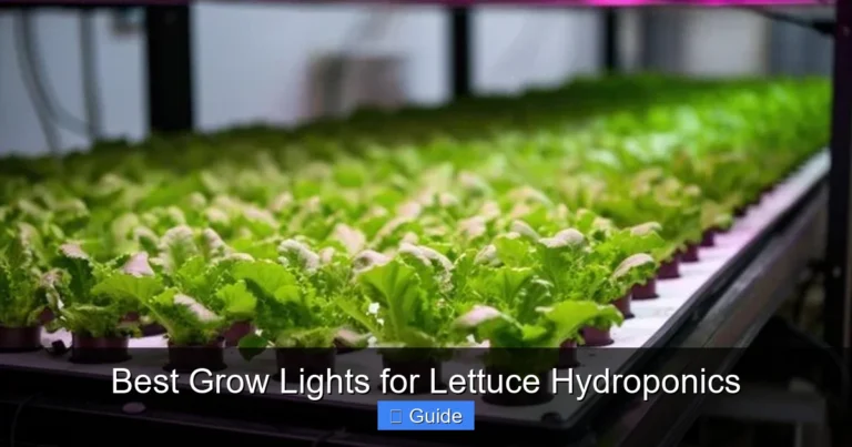 Best Grow Lights for Lettuce Hydroponics