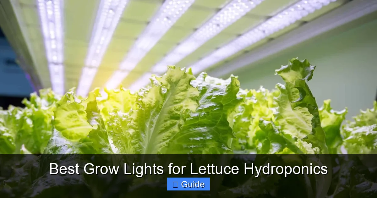 Best Grow Lights for Lettuce Hydroponics