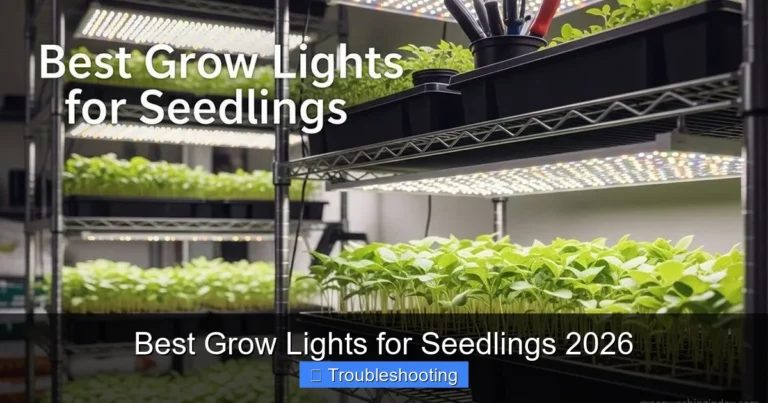 Best Grow Lights for Seedlings 2026