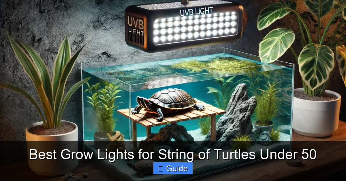 Best Grow Lights for String of Turtles Under 50