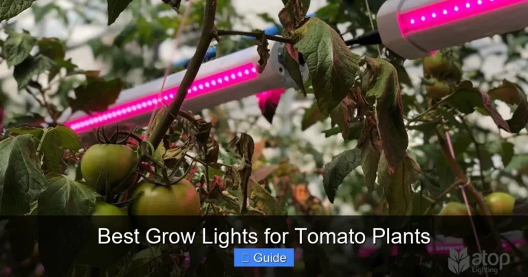 Best Grow Lights for Tomato Plants