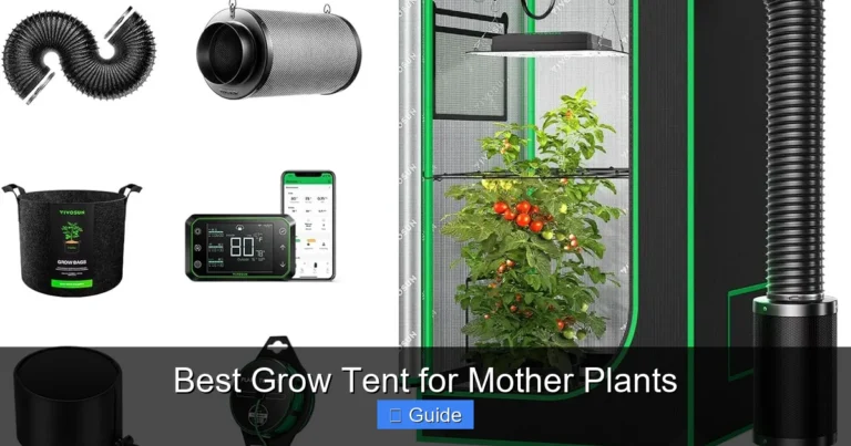 Best Grow Tent for Mother Plants