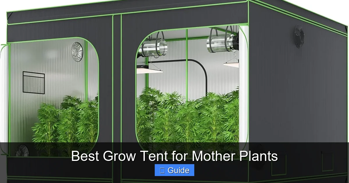 Best Grow Tent for Mother Plants