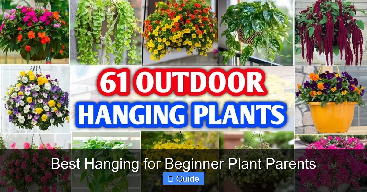 Best Hanging for Beginner Plant Parents