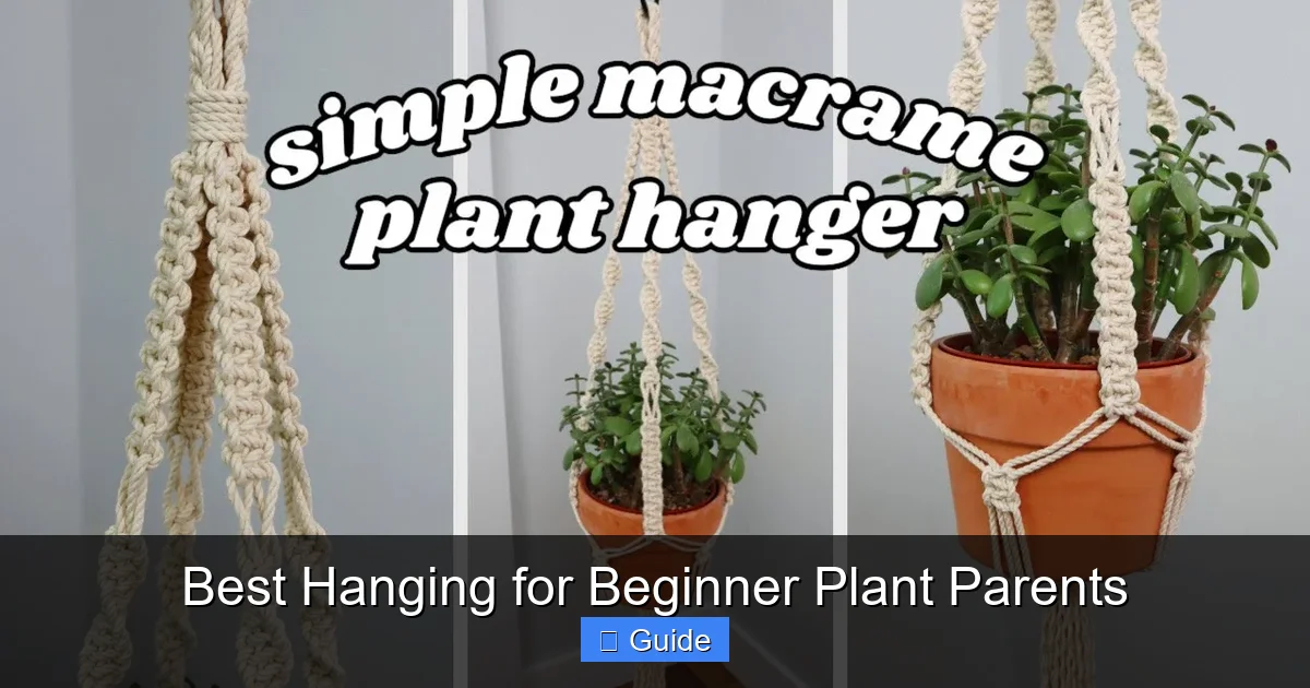 Best Hanging for Beginner Plant Parents