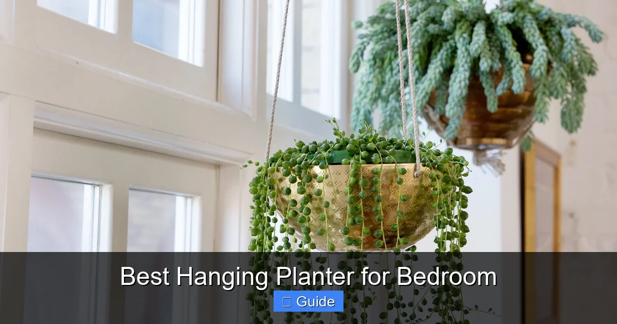 Best Hanging Planter for Bedroom