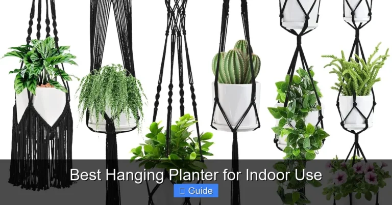 Best Hanging Planter for Indoor Use