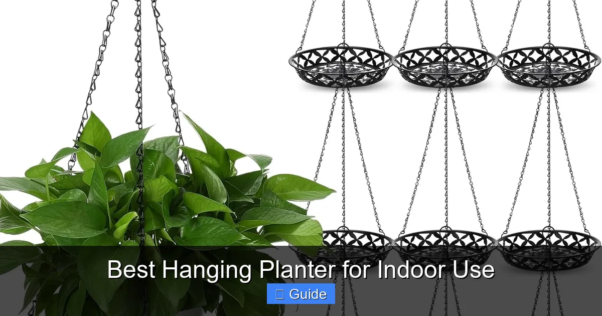 Best Hanging Planter for Indoor Use