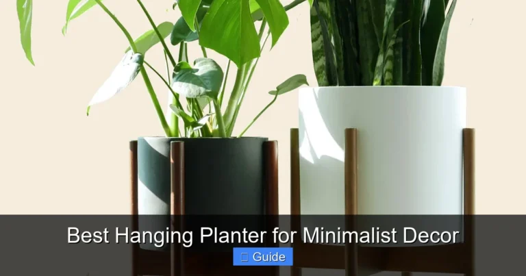 Best Hanging Planter for Minimalist Decor