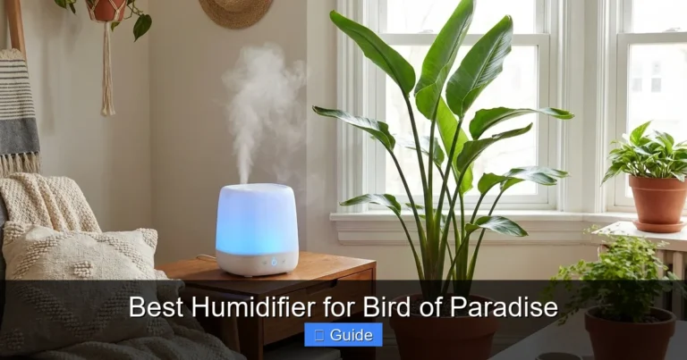 Best Humidifier for Bird of Paradise