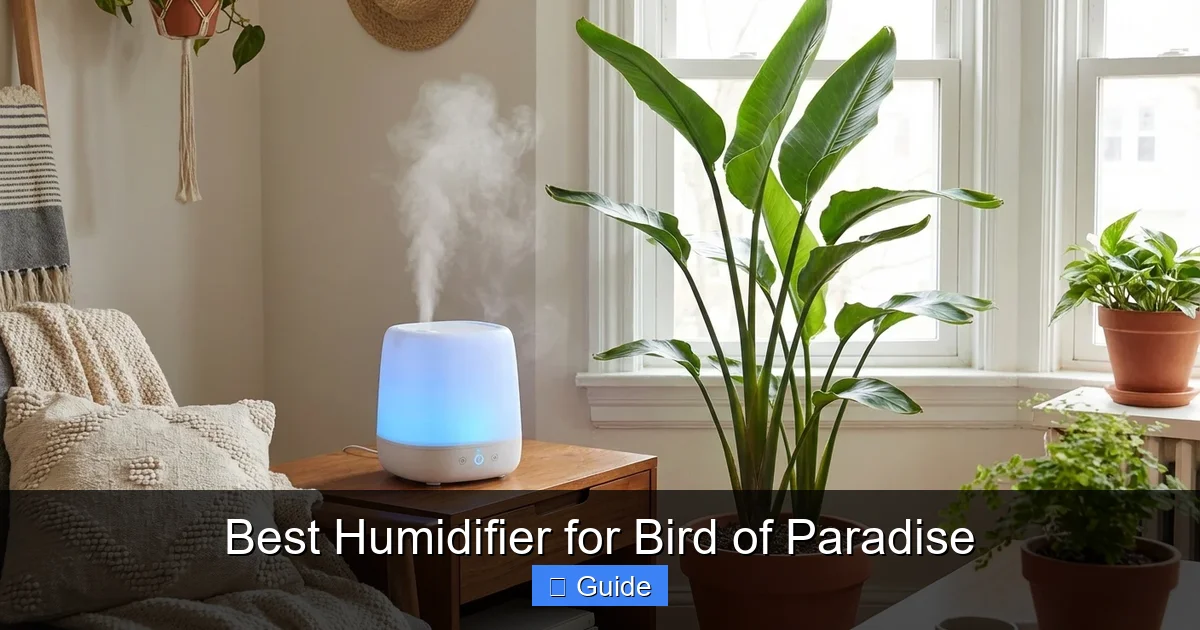 Best Humidifier for Bird of Paradise