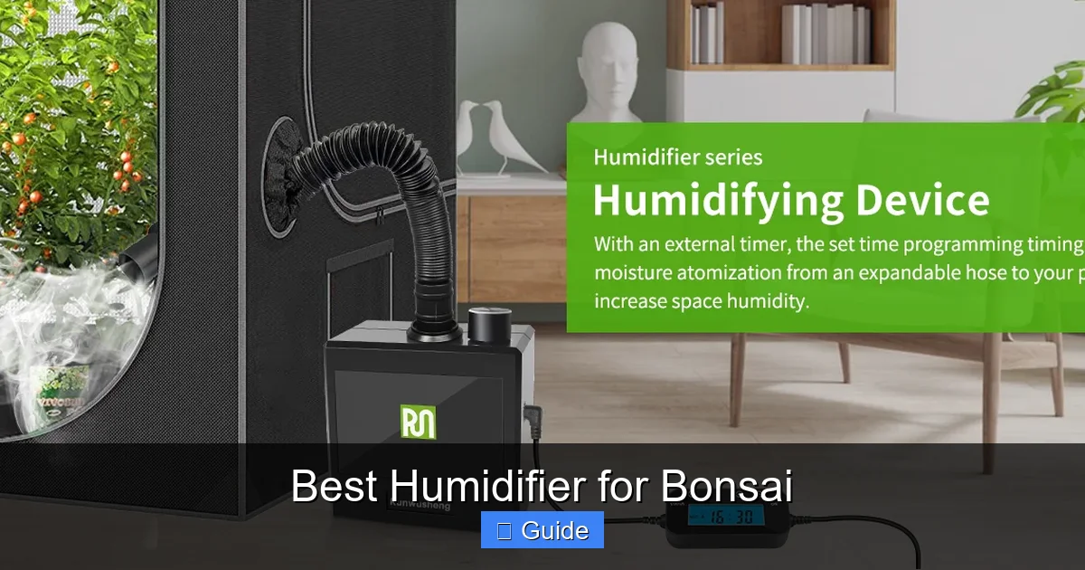 Best Humidifier for Bonsai