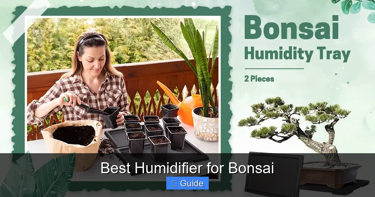 Best Humidifier for Bonsai
