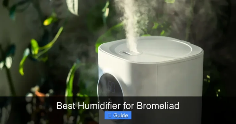 Best Humidifier for Bromeliad