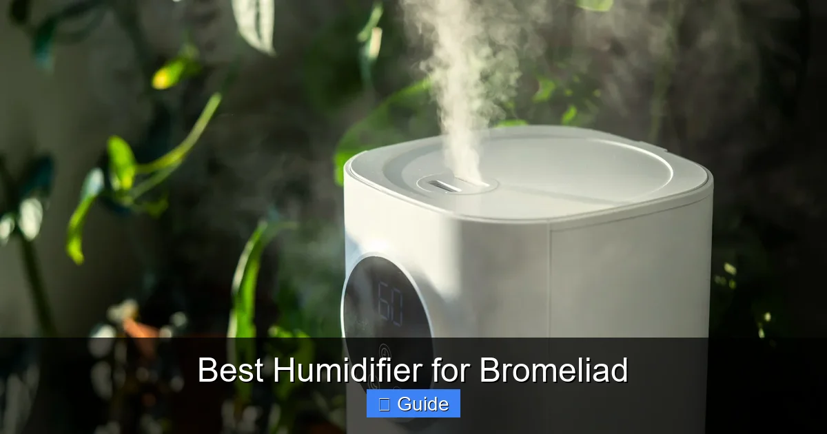 Best Humidifier for Bromeliad