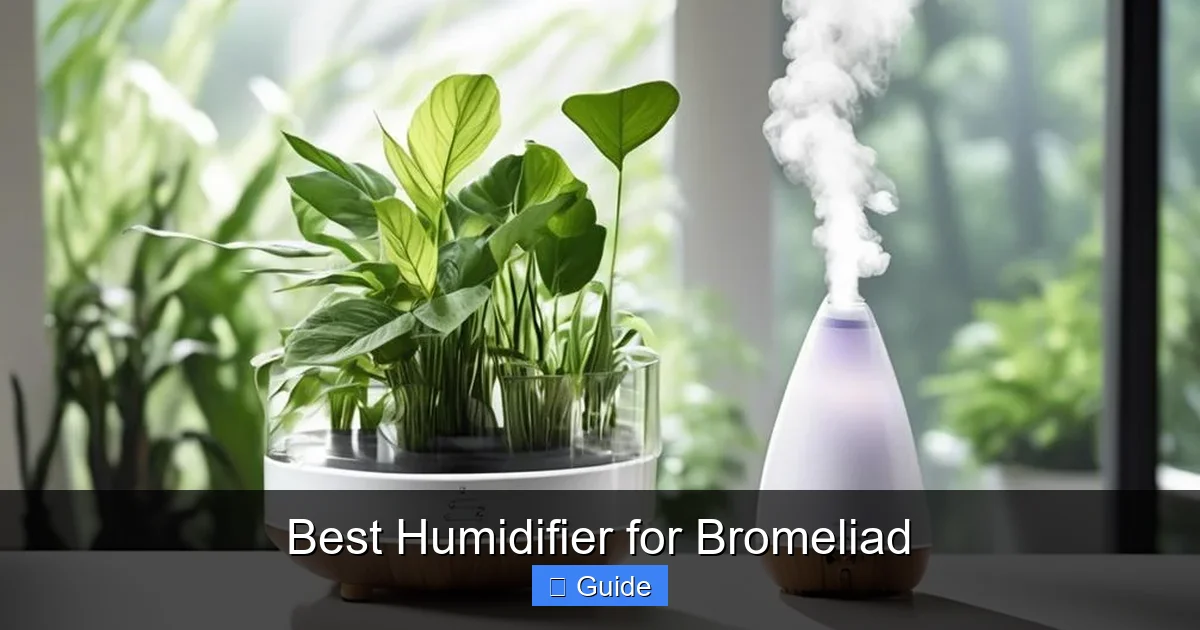 Best Humidifier for Bromeliad