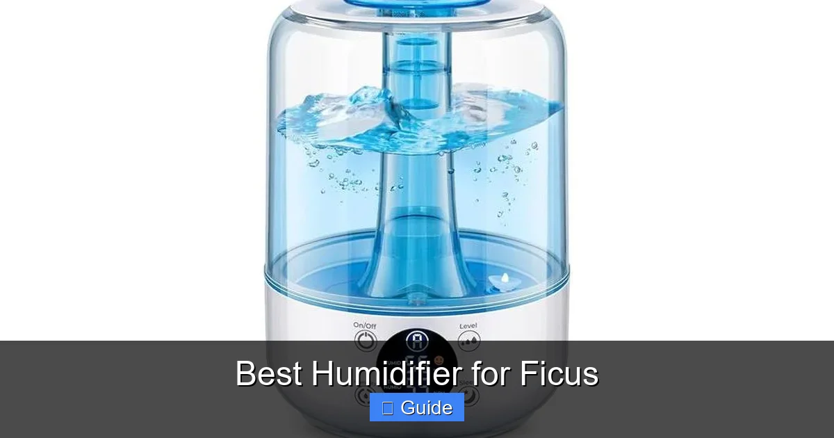 Best Humidifier for Ficus