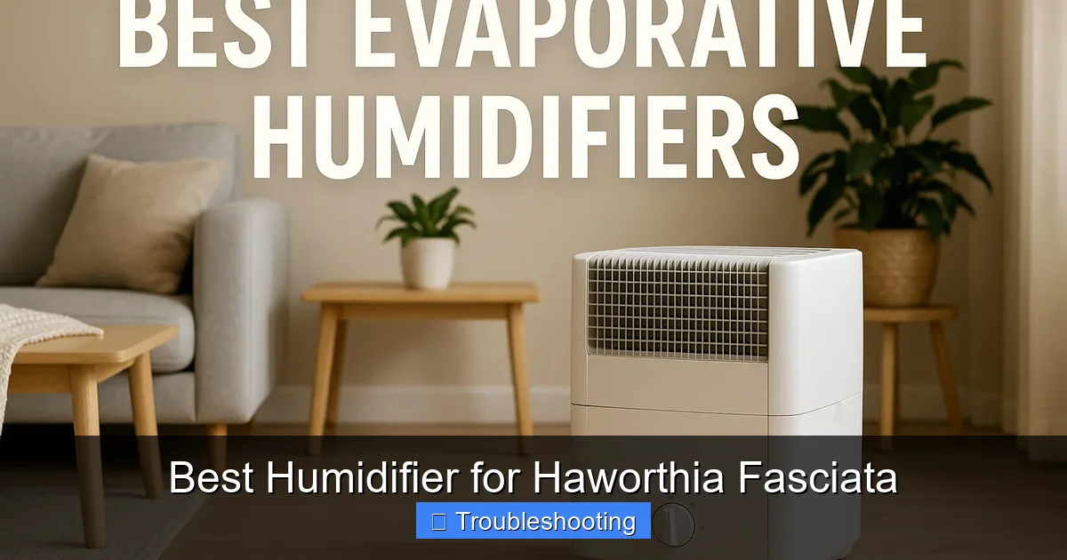 Best Humidifier for Haworthia Fasciata