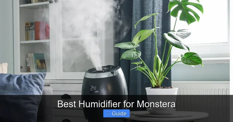 Best Humidifier for Monstera